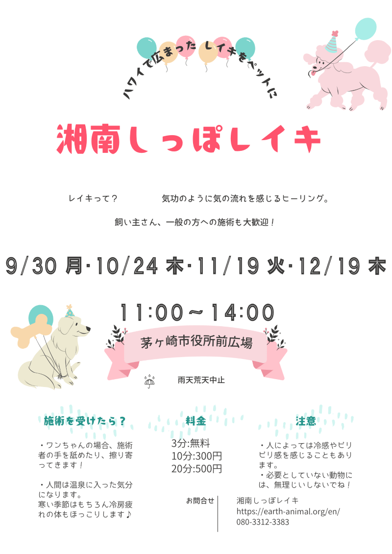 【犬猫向けのレイキ体験】茅ヶ崎市役所前広場でイベント開催します - 湘南しっぽレイキ