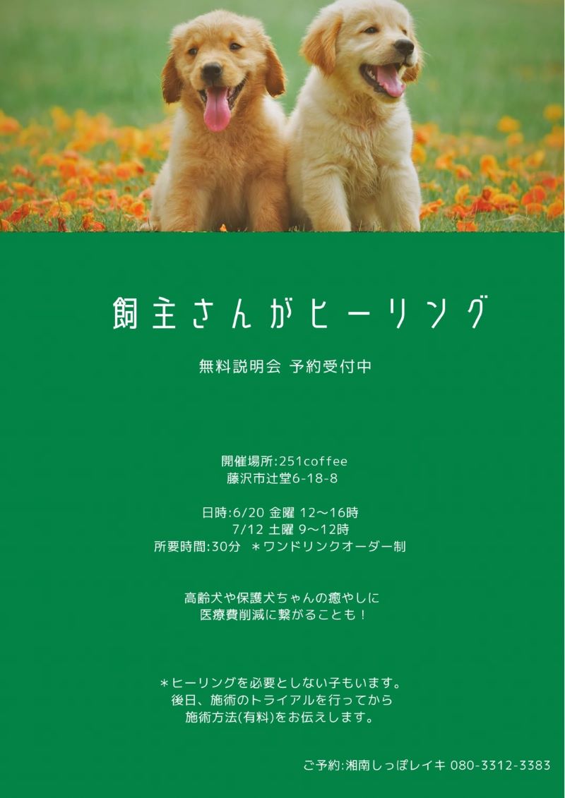 飼い主さんがヒーリング